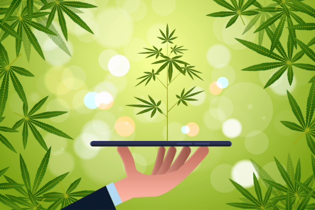 Essential Weed Delivery Tips: How To Order Cannabis Online