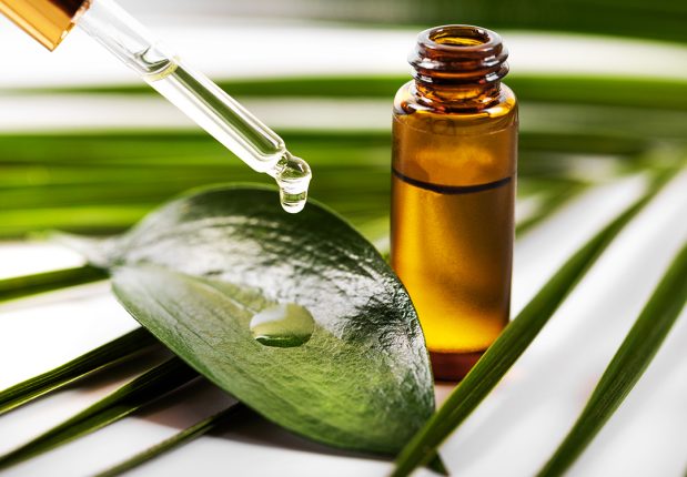 Discover The Best Beard Oil For A Perfectly Groomed Look