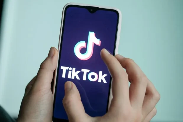 Ultimate Tiktok Video Downloader Guide