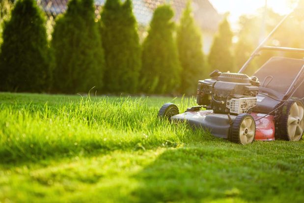 Ultimate Lawn Care Guide